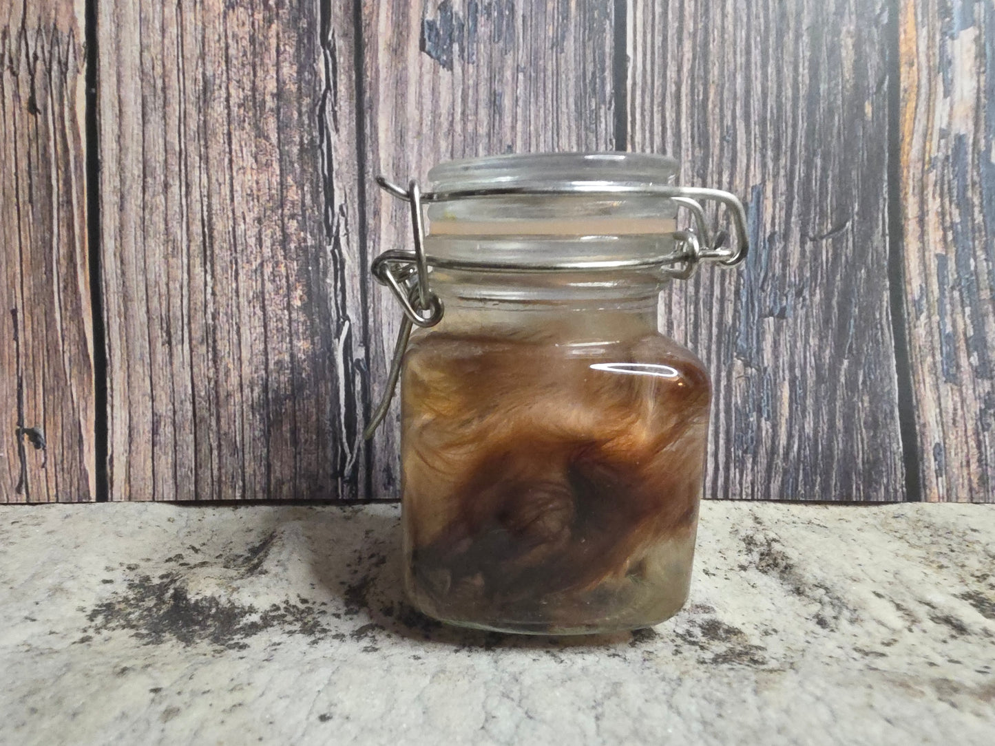 Red Domestic Chick Wet Specimen (Curled #1)