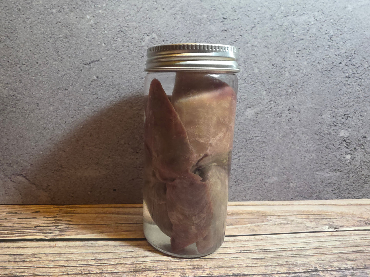 'Biblical Angel' Cat Heart And Lungs Wet Specimen