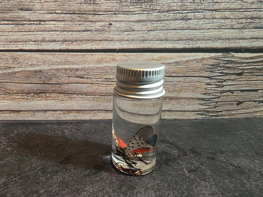 Spotted Lanternfly Wet Specimen Vial
