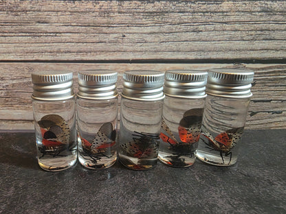 Spotted Lanternfly Wet Specimen Vial
