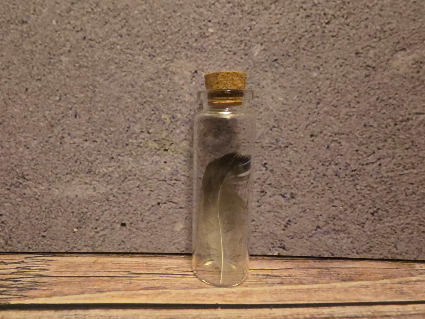 Carrion Crow Feather Curio Vial
