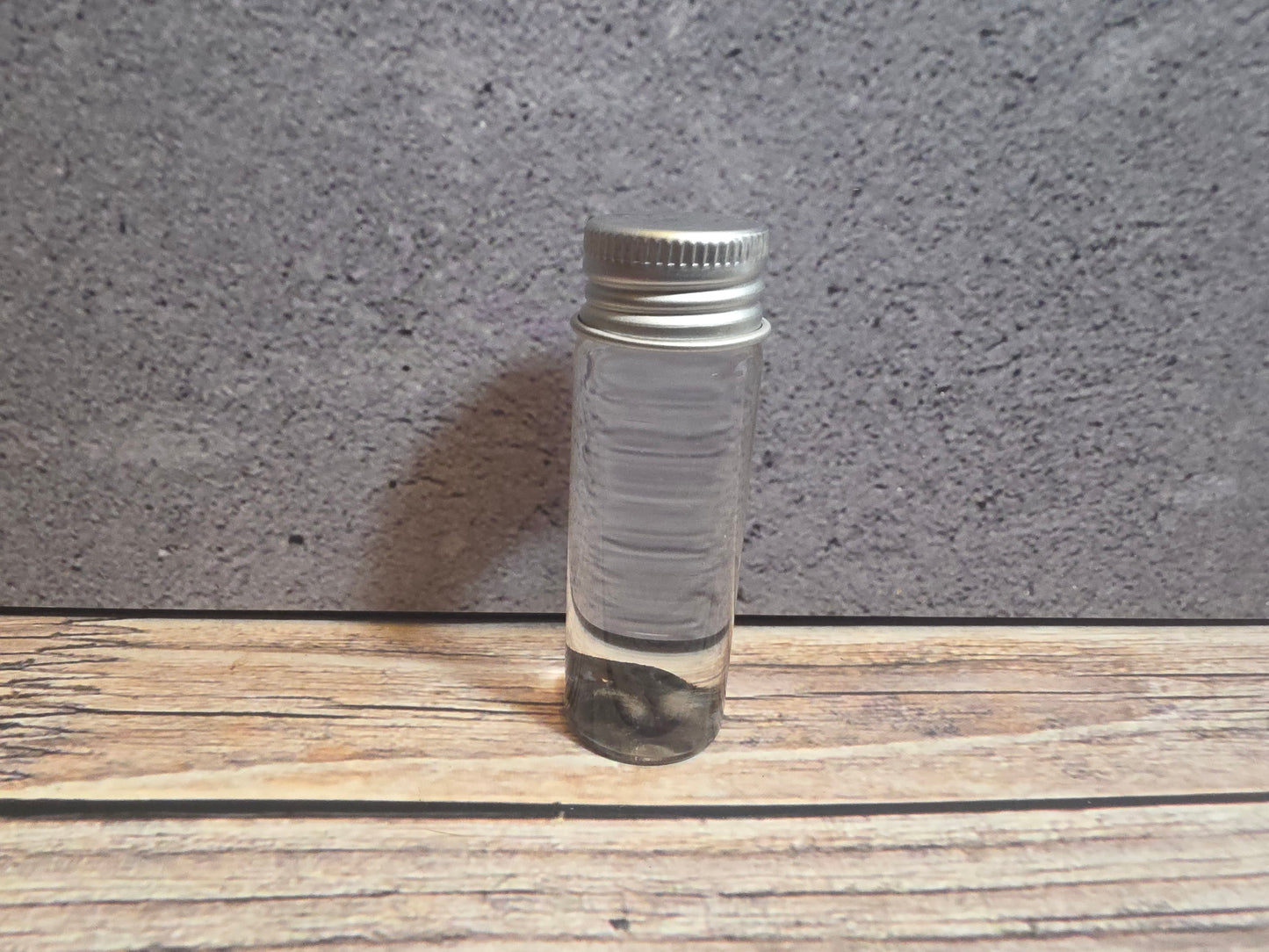 Tuxedo Kitten Nose Wet Specimen