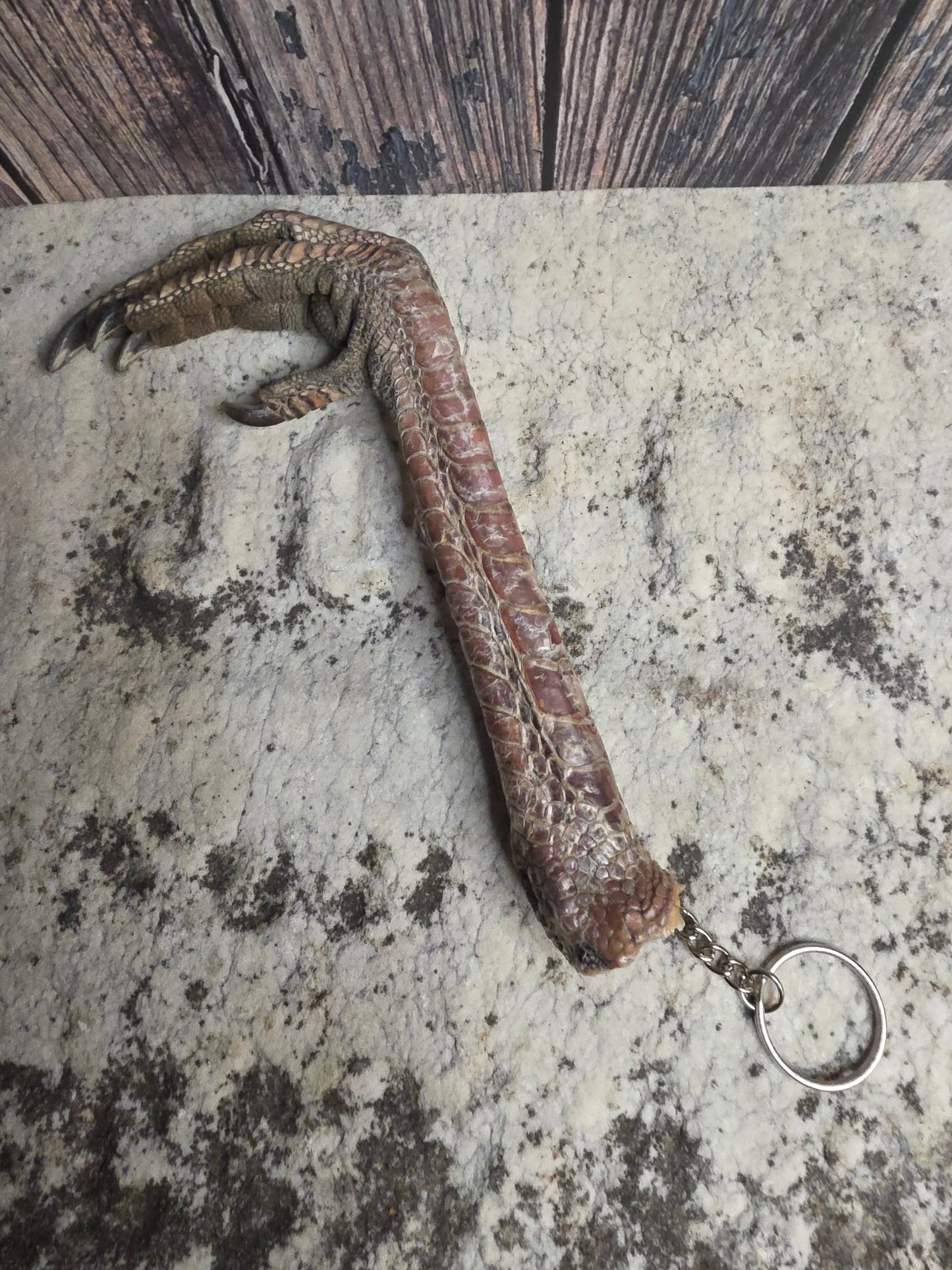 Dry Preserved Turkey Foot Statement Keychain