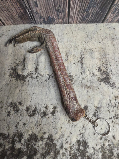 Dry Preserved Turkey Foot Statement Keychain