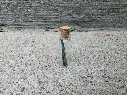 Vivianite "Corpse Crystal" Curio Vial