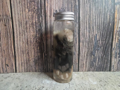 Brindle Tabby Cat Paw Wet Specimen