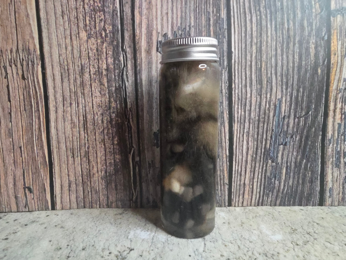 Brindle Tabby Cat Paw Wet Specimen