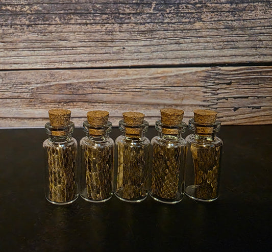 Prairie Rattlesnake Skin Curio Vial