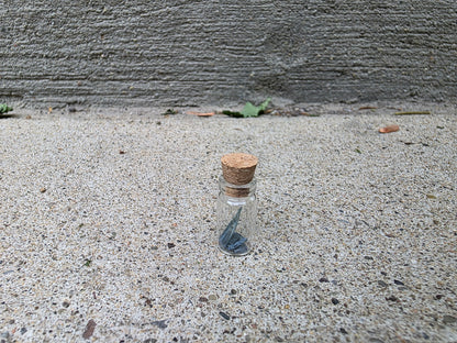 Vivianite "Corpse Crystal" Curio Vial