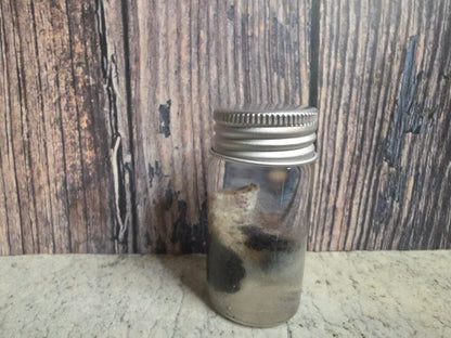 Virginia Opossum Testicles Wet Specimen (#3)