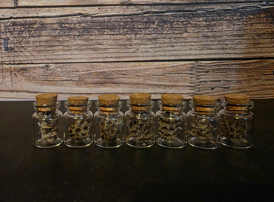 Paper Wasp Nest Curio Vial