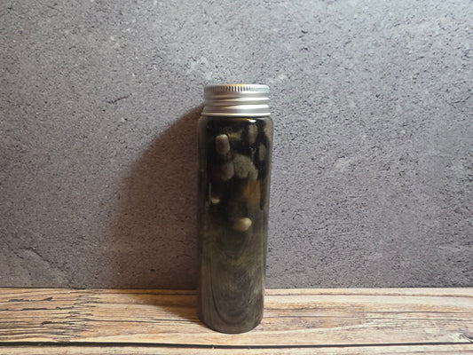 Grey Tortiseshell Cat Paw Wet Specimen