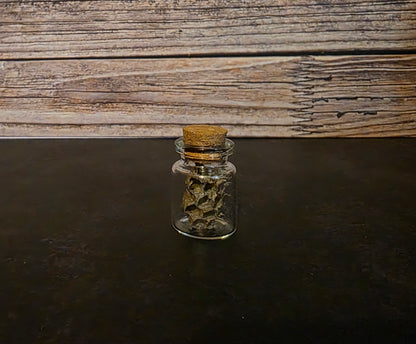 Paper Wasp Nest Curio Vial