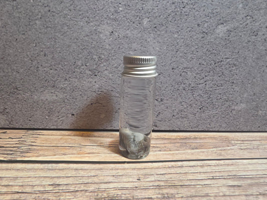 Tuxedo Kitten Eyeball Wet Specimen