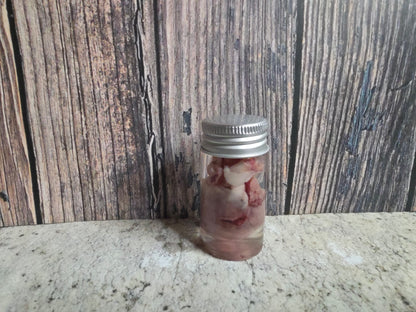 Imperfect Domestic Cat Heart Wet Specimen