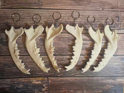 Domestic Dog Jawbone Keychain