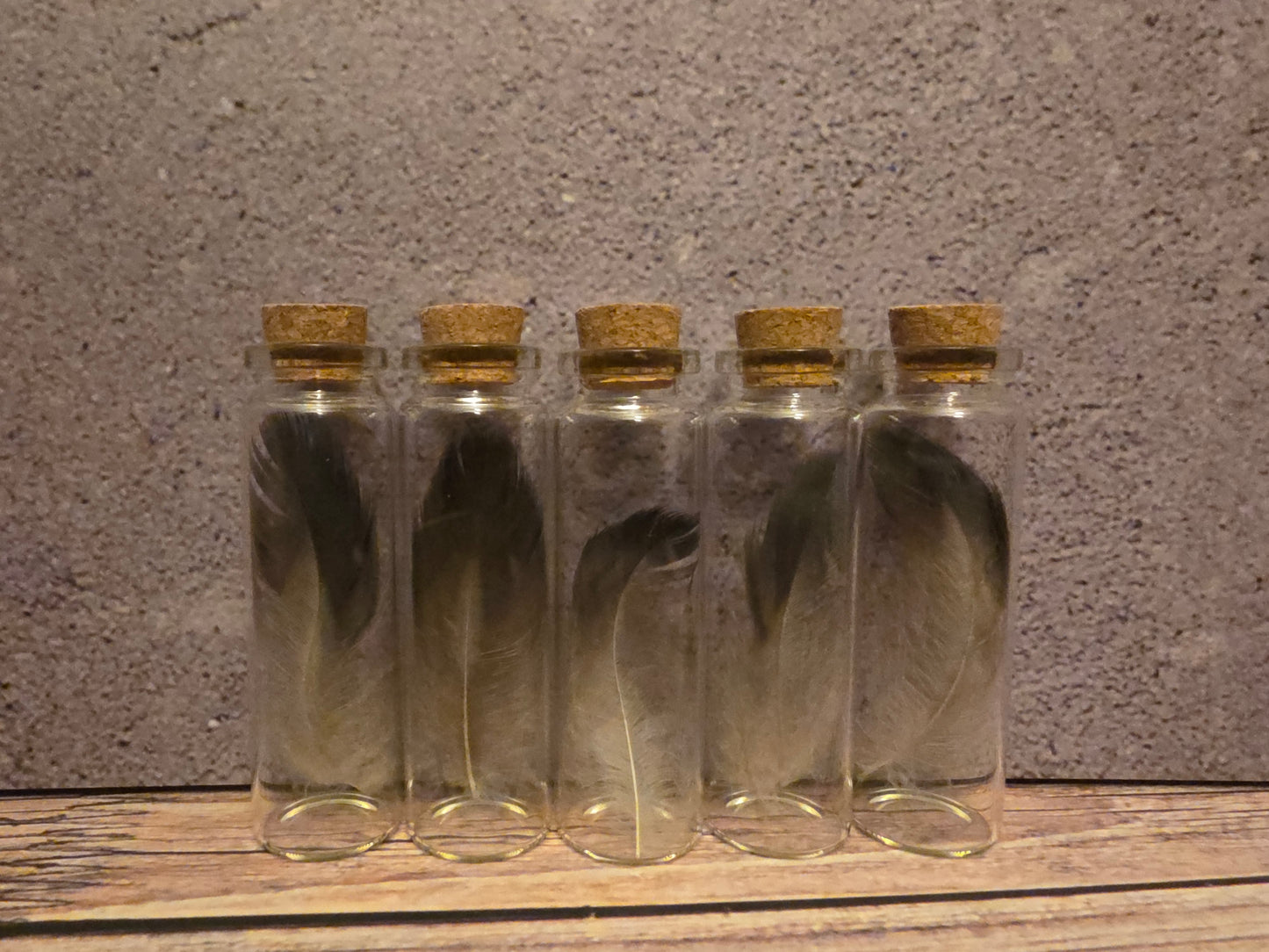 Carrion Crow Feather Curio Vial