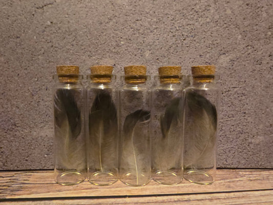 Carrion Crow Feather Curio Vial