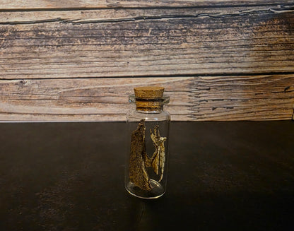 Prairie Rattlesnake Head Skin Curio Vial (Sm.)