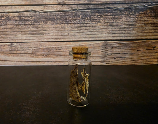 Prairie Rattlesnake Head Skin Curio Vial (Sm.)