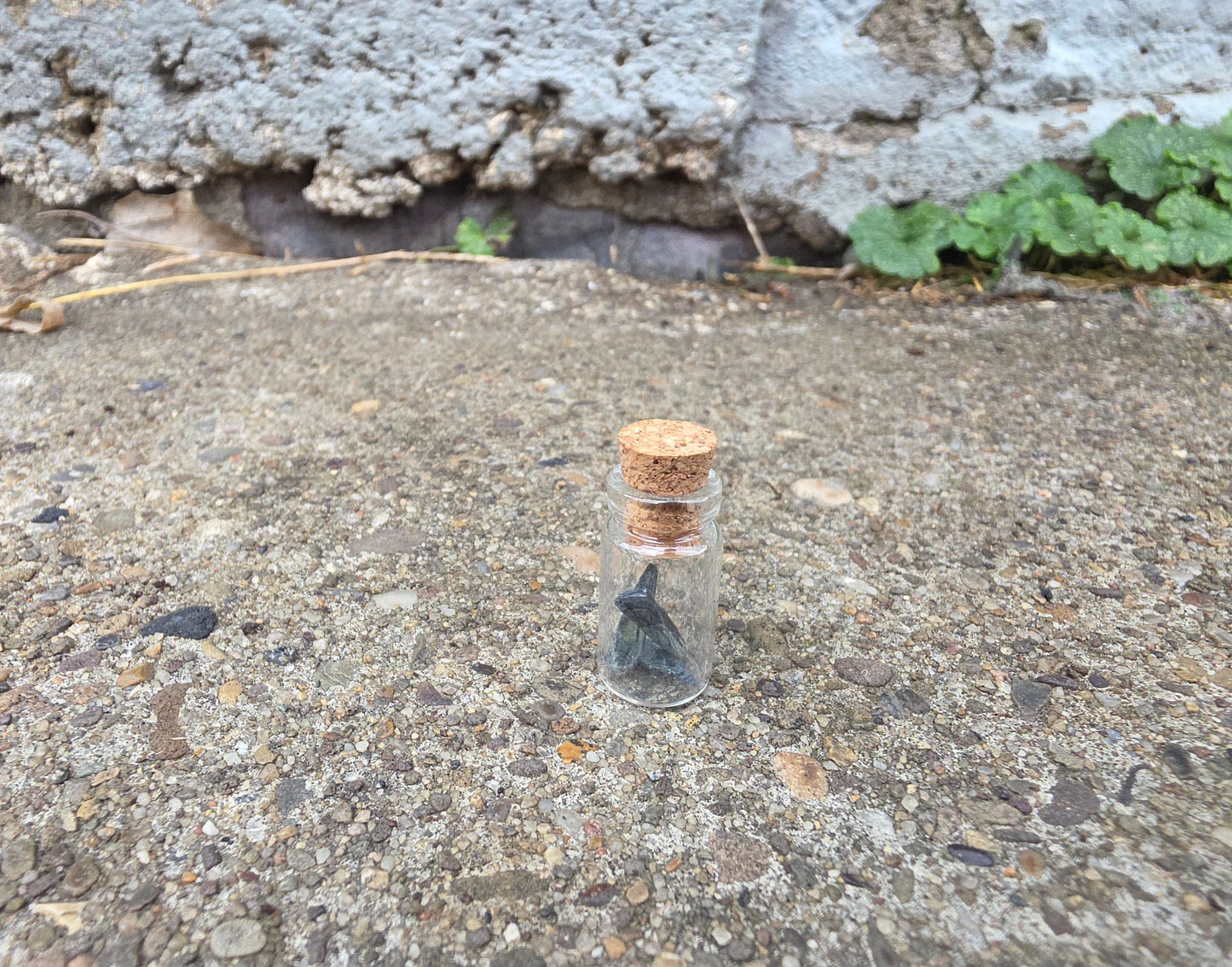 Vivianite "Corpse Crystal" Curio Vial