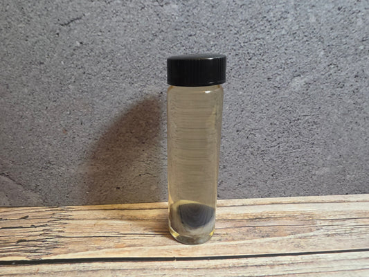 Grey Tortiseshell Cat Eyeball Wet Specimen