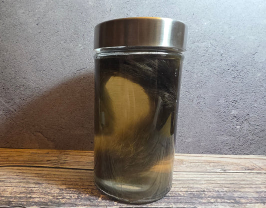 Grey Tortiseshell Cat Tail Wet Specimen