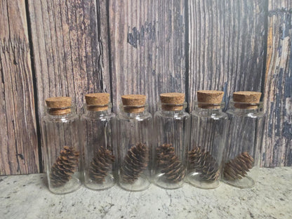 'Spirit of the Forest' Pinecone Curio Vial