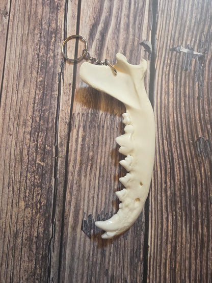 Domestic Dog Jawbone Keychain