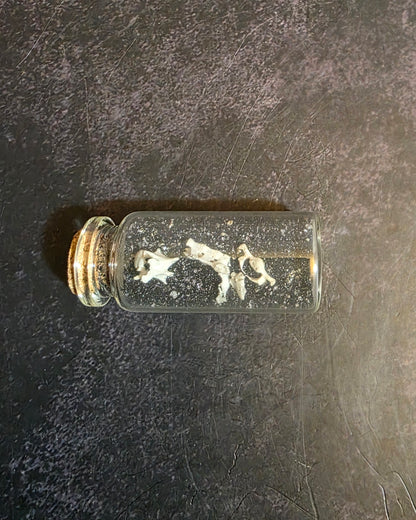Gravedigger's Fidget Bone Curio Vial