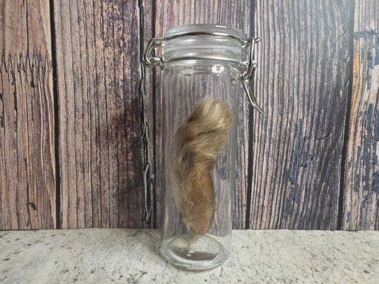 Dry Preserved Cottontail Rabbit Foot Curio Vial