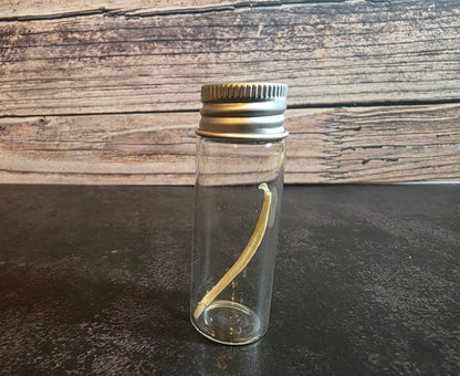 Imperfect Mink Baculum Curio Vial