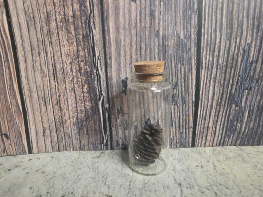 'Spirit of the Forest' Pinecone Curio Vial