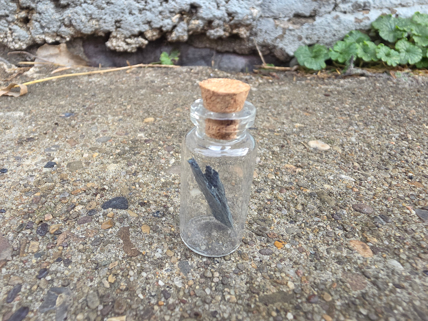 Vivianite "Corpse Crystal" Curio Vial