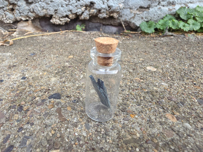 Vivianite "Corpse Crystal" Curio Vial