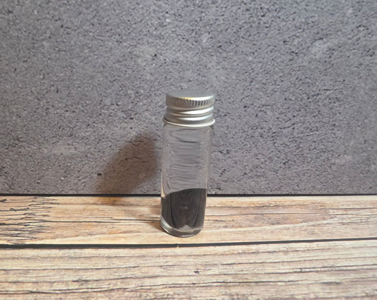 Black Cat Nose Wet Specimen