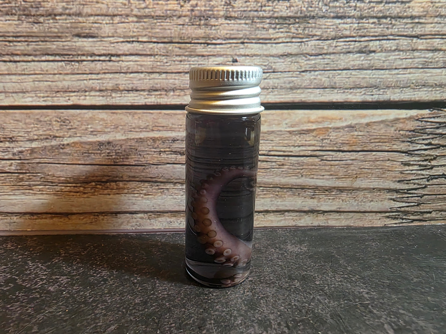 Octopus Tentacle Wet Specimen (Colors)
