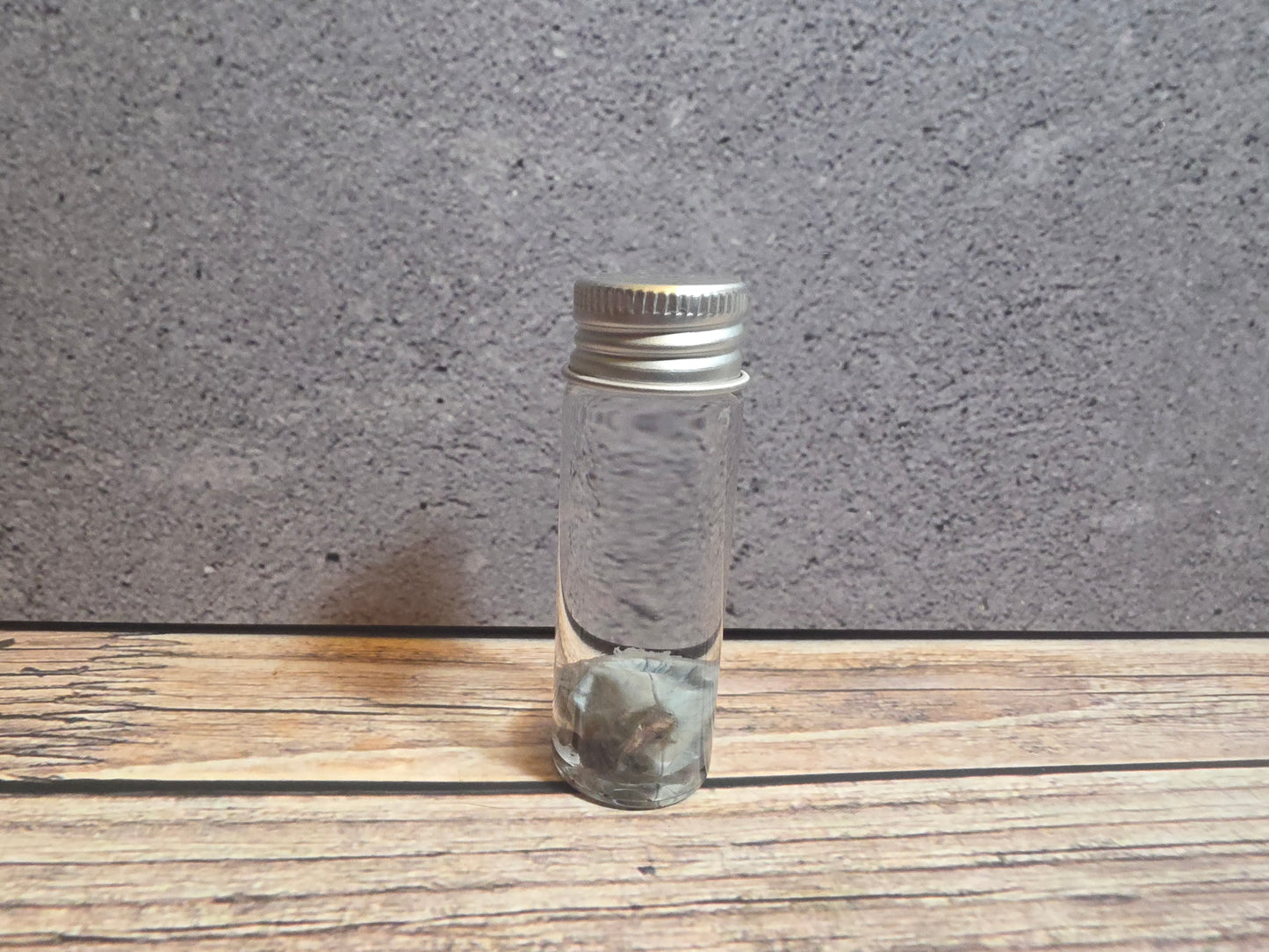 Tuxedo Kitten Eyeball Wet Specimen