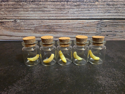 Faux Maggot Curio Vial