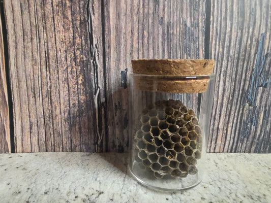 Paper Wasp Nest Curio Vial (Cork Top Lg)