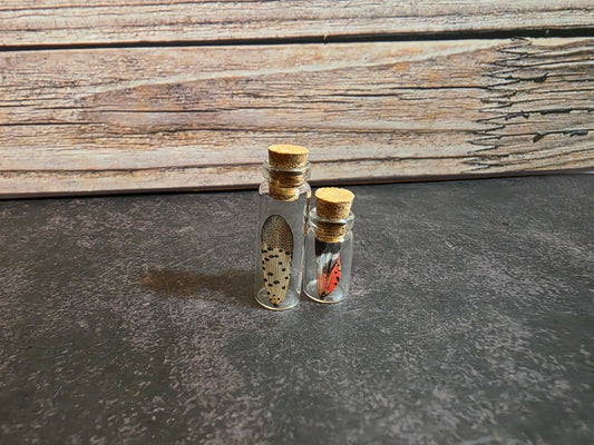 Spotted Lanternfly Wing Curio Vial Set