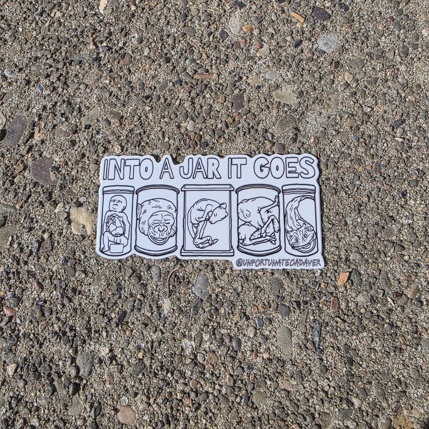 ‘Into a Jar’ Sticker