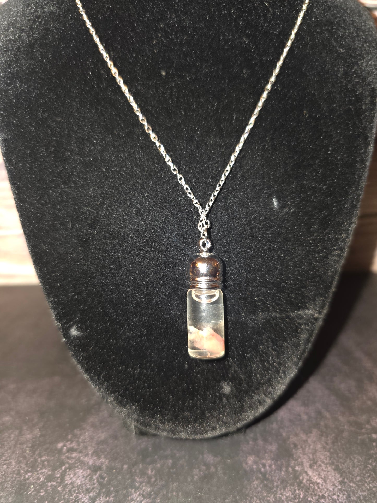 Domestic Quail Heart Wet Specimen Necklace (Long)