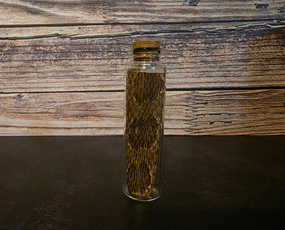 Prairie Rattlesnake Skin Curio Vial