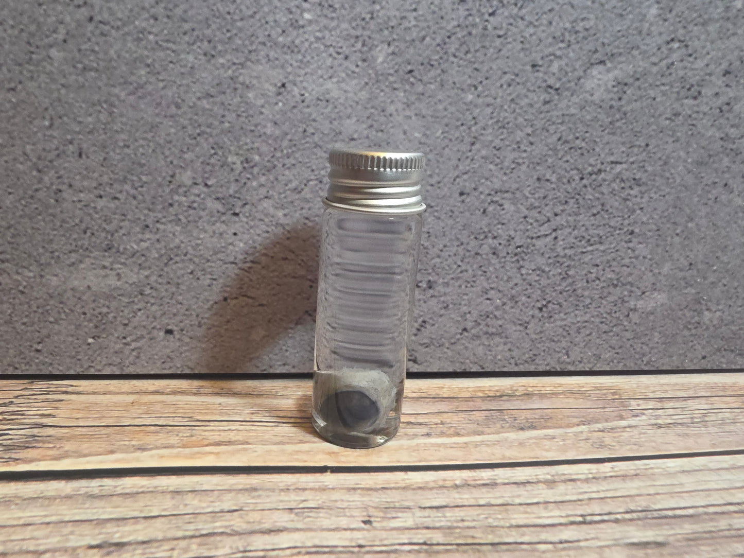 Tuxedo Kitten Eyeball Wet Specimen