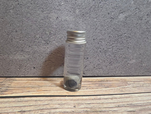 Tuxedo Kitten Eyeball Wet Specimen