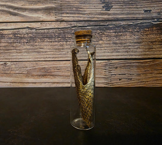 Prairie Rattlesnake Head Skin Curio Vial (Lg.)