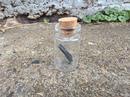 Vivianite "Corpse Crystal" Curio Vial