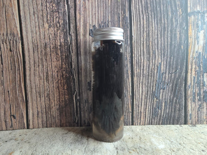 Red Fox Paw Wet Specimen