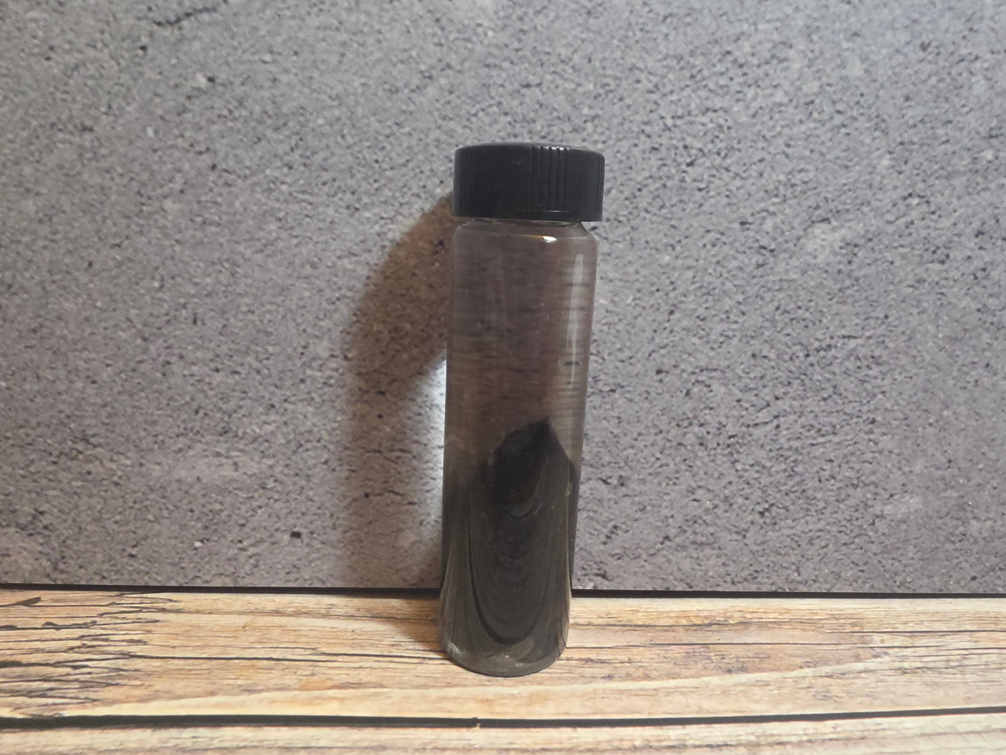 Tuxedo Kitten Ear Wet Specimen